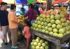 【レンジブログ118】ダバオのマーケットで、ポメロとマンゴーを購入