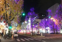 【ポットブログ112】新事業の準備と身辺整理