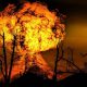 explosion-123690_960_720[1]