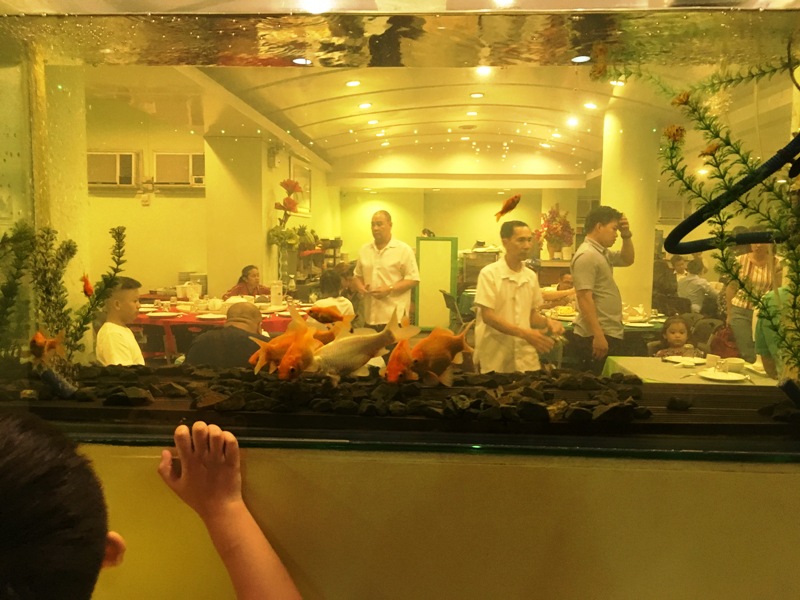 【フィリピン】グルメ　マニラのおすすめレストラン「エメラルド Emerald Garden Restaurant」