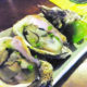 oyster