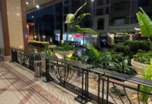 一つの旅の終わり。十分な収穫のある旅に満足して帰国する